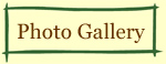 Photo Gallery